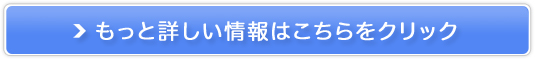 v~AACZWXipVPN[j̔TCg